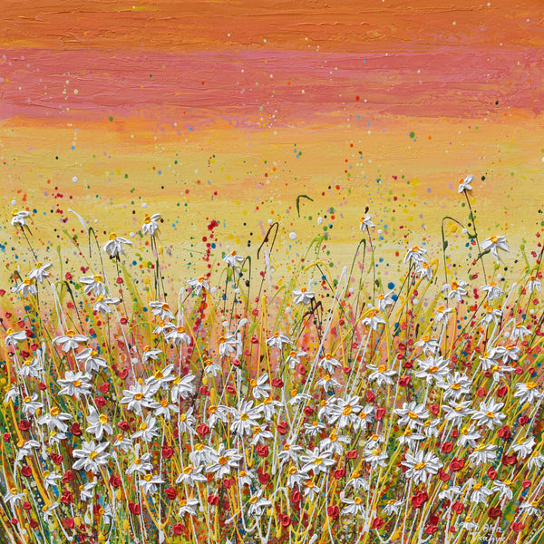 Daisies at Sunset, 24"x24", Acrylics on Canvas