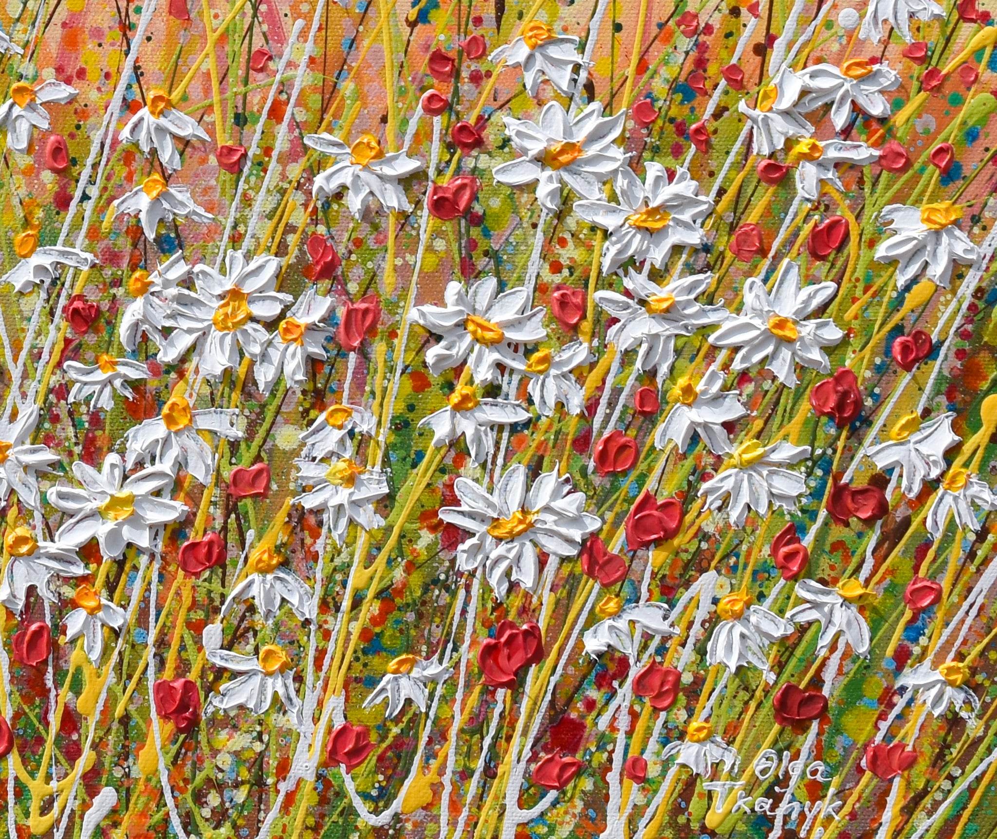 daisiesatsunsetcl-2_2048x.jpg?