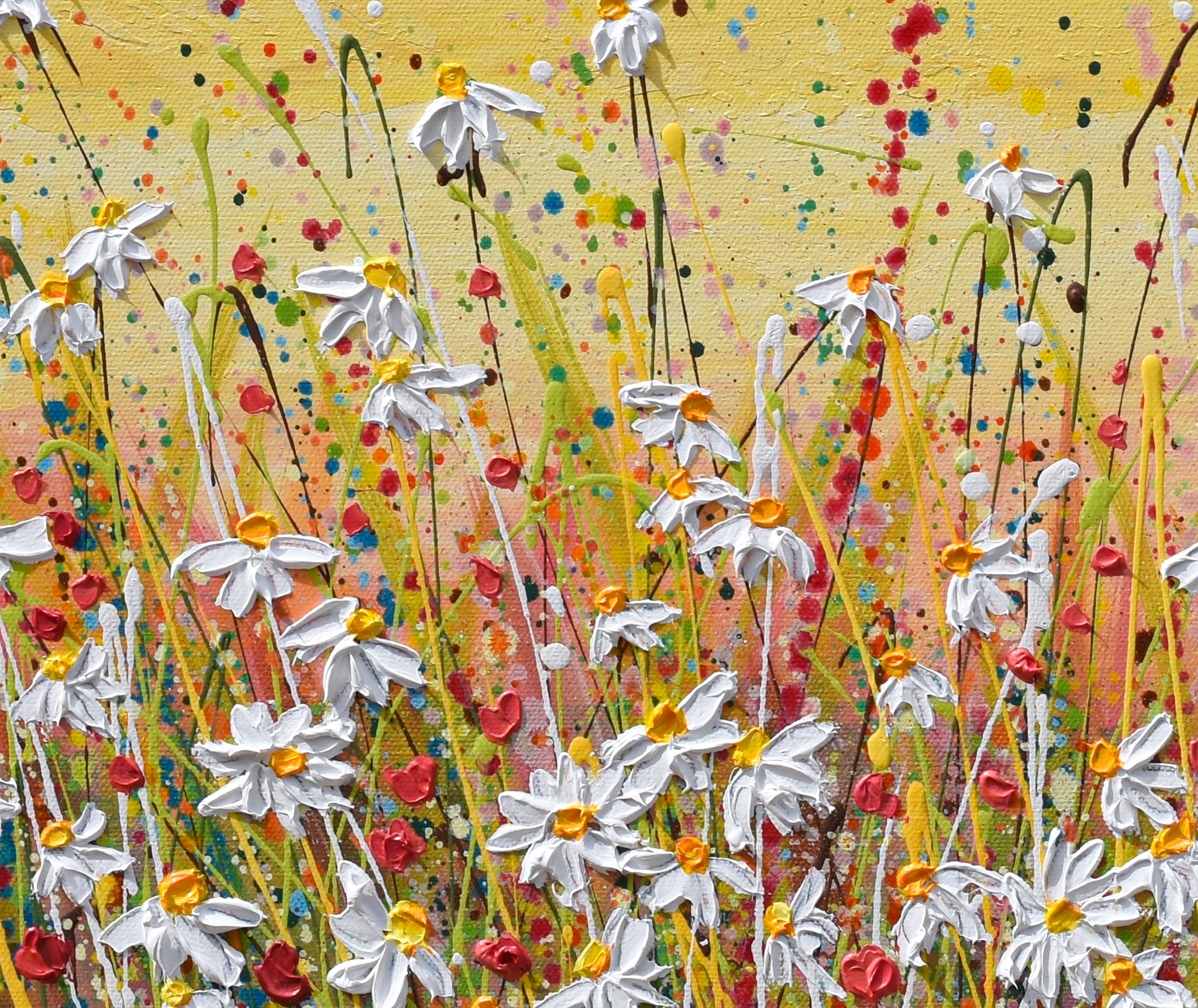 Daisies at Sunset, 24