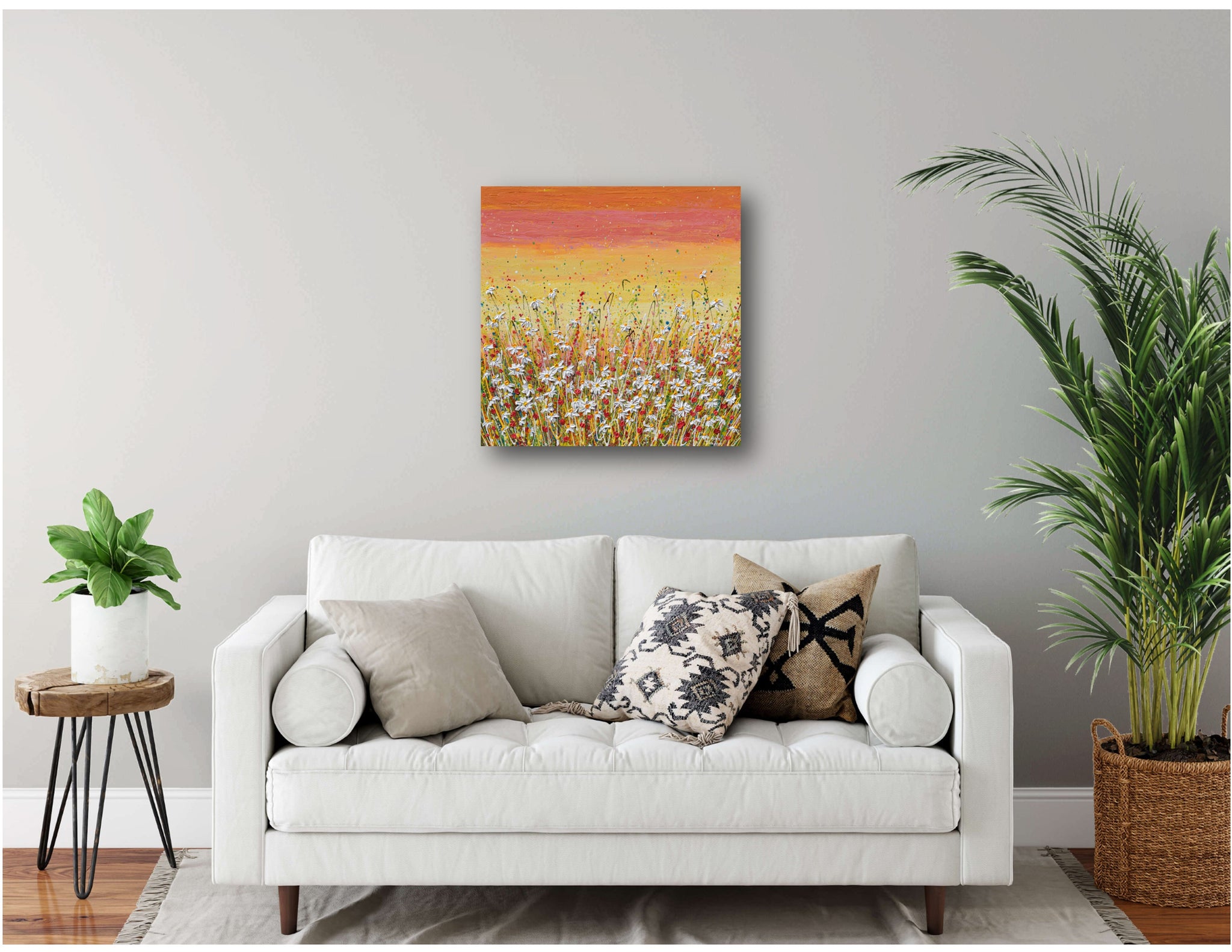 Daisies at Sunset, 24